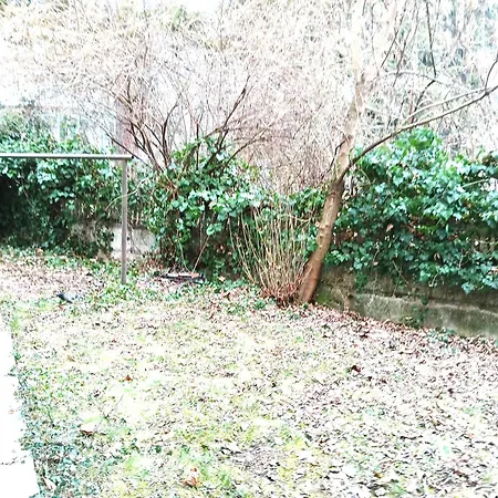 アパート Crisan-horea Retreat クルージュ＝ナポカ