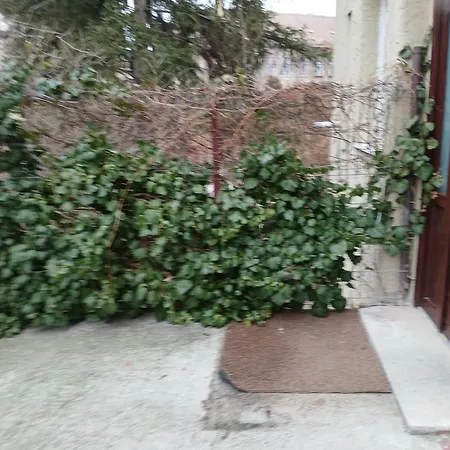 Crisan-horea Retreat Apartment *