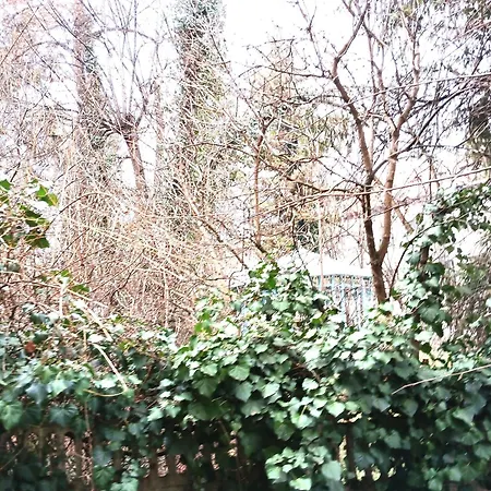 Crisan-horea Retreat Διαμέρισμα Κλουζ-Ναπόκα