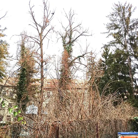 Crisan-horea Retreat *