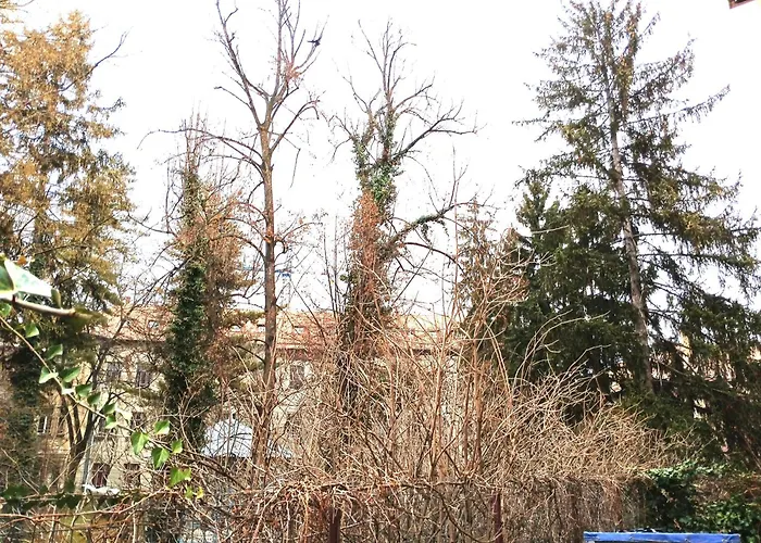 Crisan-horea Retreat *